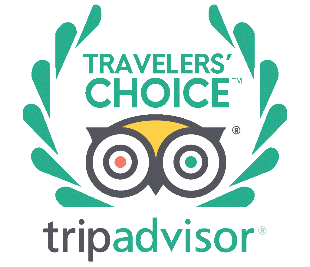 TripAdvisor 2026